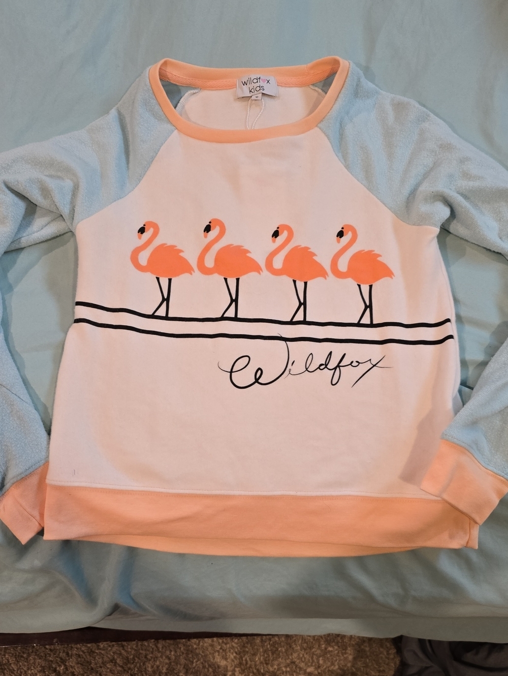 Wildfox Peach Flamingo Raglan Pullover with Light Blue Sleeves